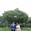 소노휴 양평 | 양평 소노휴 본식스냅 후기 자연을 품은 결혼식 장소