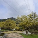 계척시목지 이미지