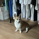 싸움의고수김천점 이미지