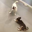 멍품유치원 이미지