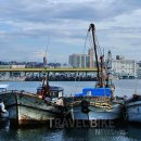 동해파도소리 이미지