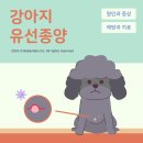 부곡동물병원 이미지