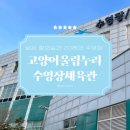 수영 | 일산 꽃우물수영장 ‘고양어울림누리수영장체육관’ 공휴일 오후 자유수영 후기