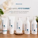 모이도 머니투데이