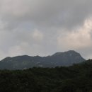 대야산자연휴양림 이미지