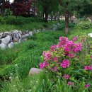 광릉수목원 이미지