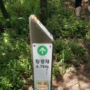 안성리-11 Daum카페