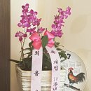 산호복집 이미지