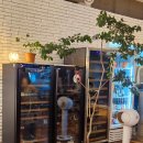 11620-22-78-1 | [강릉 기사문] 해산물 오마카세 코스요리 내돈내산 재방문 솔직후기