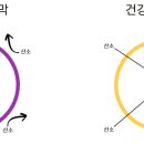 알파오메가약국 이미지