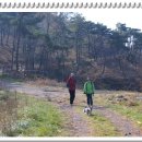 국사봉목장 이미지