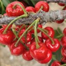 시후농장 이미지