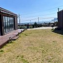 초원켄넬 | 동생과 함께 떠나는 로맨틱 제주, 우도 힐링 여행!