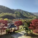 옥이농장민박 이미지