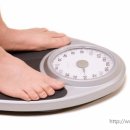 정글짐 서사라점 이미지