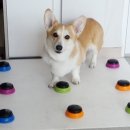 건강한 아리농장 이미지