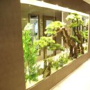 소나무 노래연습장 이미지