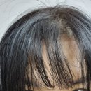 온화사 | 떡진머리스프레이 앞머리떡짐 / 온화사 헤어퍼퓸 후기