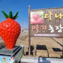 신교농장 이미지