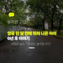 덕성 병설유치원 | 영어유치원 · 일반유치원·대학부설 고민, 영유 한달만에 뛰쳐 나온 6학년 엄마가 드리는 조언