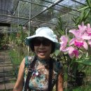 열음농장 이미지