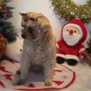 놀멍쉬멍고르멍 이미지