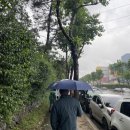 진호모터스 | [0529] 2023 k리그 15라운드 포항스틸러스 vs 전북현대모터스 스틸야드 직관 후기