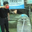 용암초교 이미지