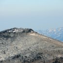 분원초등학교 이미지