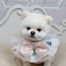 사림동253 이미지