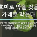 호미산업 이미지