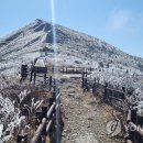 용담호에핀꽃