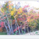 호반으로 여행 이미지