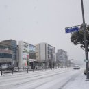 중앙여자고등학교 (앞) 이미지