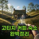 고티지 뜻 궁금증 해결! 카멜커피 & 구마모토 고티지 후기 완벽 정리