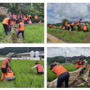 (주)예하 이미지