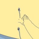 블루홀스 승마센터 이미지