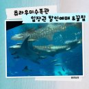 구아카데미극장 - OK 주차장 | 오키나와 츄라우미 수족관 방문기 | 2살·7살·10살 아이와 돌고래쇼 관람 후기 (+예매 팁/다이버쇼)