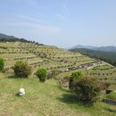 보령시모란공원 식당 이미지