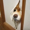 주니비노호텔 이미지