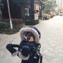 301차이나 이미지