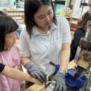 태화초등학교병설유치원 이미지