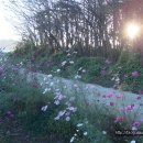 인영농장 이미지