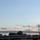 동갈매기 | 광안리갈매기샌드 부산여행 필수 기념품 민락더마켓 근처 후기