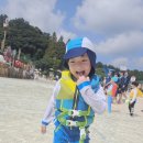 풍성어린이집 | 🏖️ 어린이집 단체로 다녀온 캐리비안베이 물놀이 후기