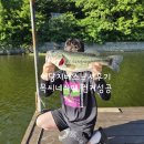 런커피싱 | 예산좌대배스낚시) 53cm 런커올린9번좌대 "목씨네낚시터좌대"추천!