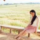 청보농장 이미지