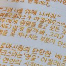 앰버 | 디아민 앰버 발색 후기 & 필사| 디아민 노랑 잉크 추천