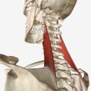 우성스포츠센터 이미지