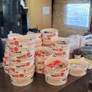 씨유 휘닉스점 | 휘닉스평창 올인크루시브 겨울 여행, 나의 첫 보드☃️💙